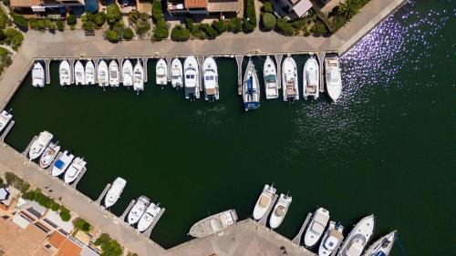 Saint-Cyprien Plage Apartment | Appartement Studio cabine 4 couchages ST CYPRIEN PLAGE SC270-039