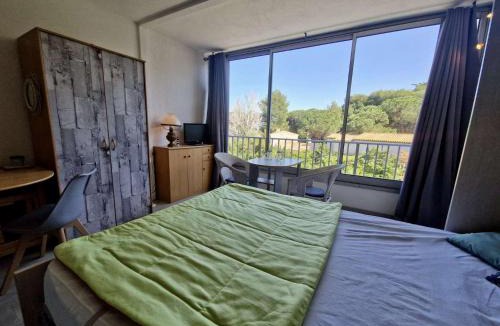 Saint-Cyprien Plage Apartment | Appartement studio cabine 4 personnes SAINT CYPRIEN SC580-D47