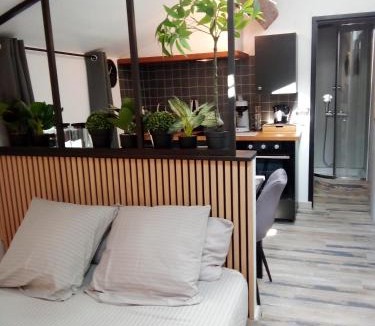 Carcassonne Apartment | Appartement sous les remparts