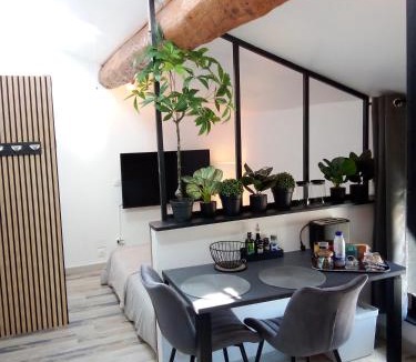 Carcassonne Apartment | Appartement sous les remparts