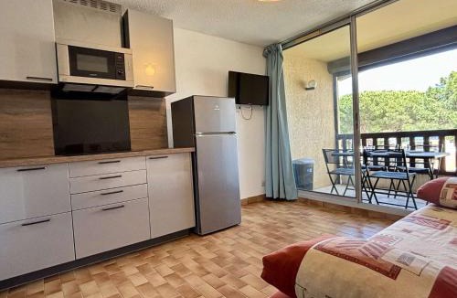 Argeles Plage Apartment | Appartement Studio cabine 4 couchages ARGELES SUR MER AR030-057
