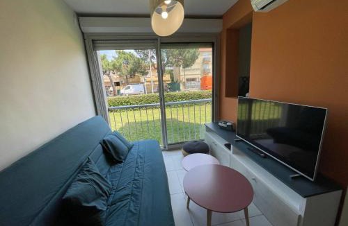 Argeles Plage Apartment | Appartement Studio cabine 4 couchages ARGELES SUR MER AR020-037