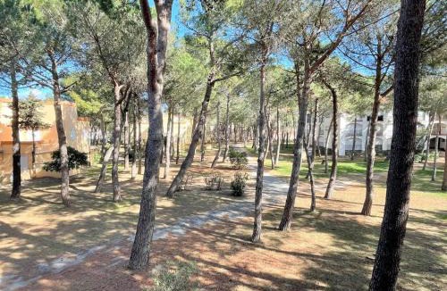 Argeles Plage Apartment | Appartement studio cabine à 300m de la plage - AR530-027