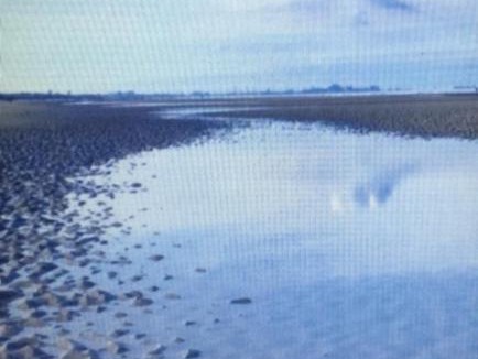 Bray-Dunes Apartment | Appartement Studio face à la mer