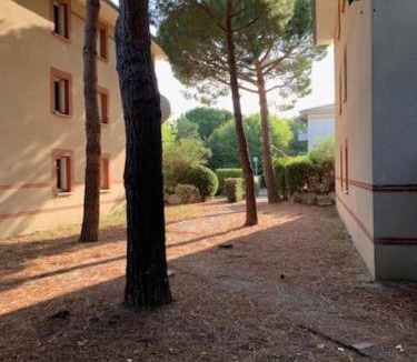 Trois Cocus - Borderouge - Croix-Daurade - Paleficat Apartment | Appartement T1 Résidence Sporting 1er étage