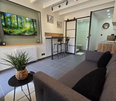 La Verpilliere Apartment | Appartement T2 en duplex