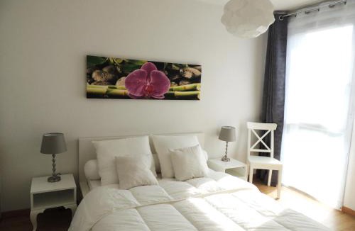 Lafourguette Apartment | APPARTEMENT T2 MEUBLE AVEC BALCON TOULOUSE