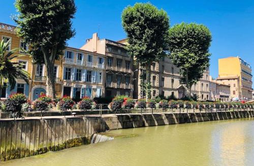 Anatole France Apartment | Appartement Terrasse proche centre et canal