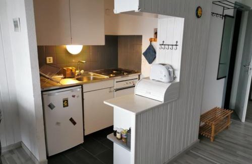 Vionnaz Apartment | Appartement Torgon