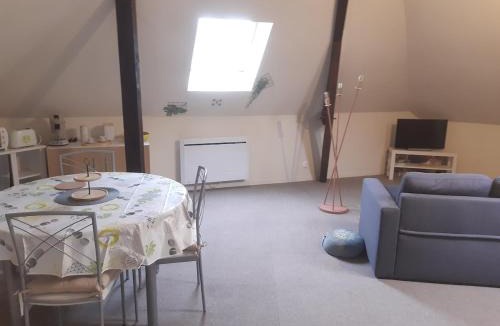 Mehun-sur-Yevre Apartment | Appartement tout confort