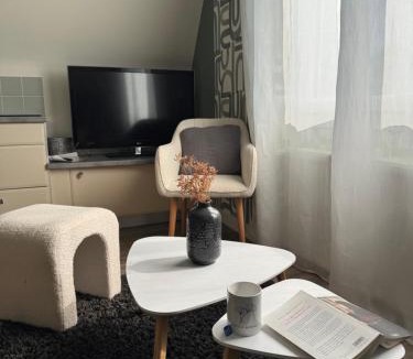 Mayenne Apartment | Appartement Villa Medena - Classé 3 étoiles - Parking privé clos