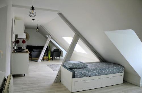 Quartier Pasteur Apartment | Appartements Up & Down by Beds76