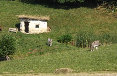 Heligan Cottage | Apple Cottage - Coombeshead Farm