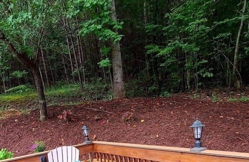 Lake Lure House | Apple Valley Farm 117