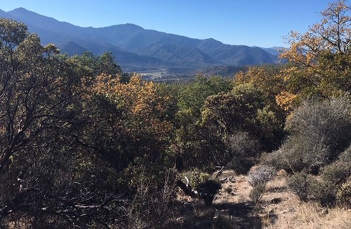 Jacksonville Cabin | Applegate Valley Getaway!