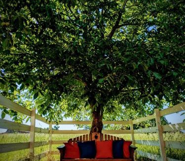 Talent House | Applinger Farm