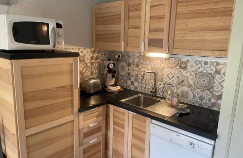 Saint-Lary-Soulan Apartment | Appt hyper centre chaleureux Saint-Lary-Soulan village - jardin