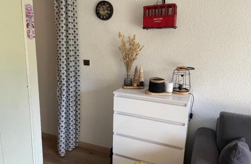 Saint-Lary-Soulan Apartment | Appt hyper centre chaleureux Saint-Lary-Soulan village - jardin