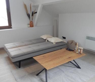 Saint-Pe-de-Bigorre Apartment | Appt supérieur 1 chambre 4 pers proche #Lourdes
