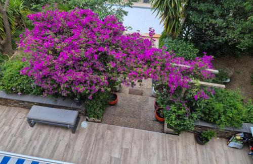 Banyuls-sur-Mer Apartment | APT 65 M2 DANS VILLA AVEC PISCINE BANYULS SUR MER