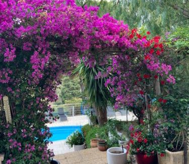 Banyuls-sur-Mer Apartment | APT 65 M2 DANS VILLA AVEC PISCINE BANYULS SUR MER