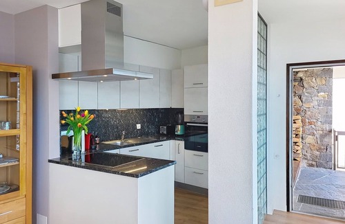 Ronco sopra Ascona Apartment | Apt. Tana dei Leoni by Interhome