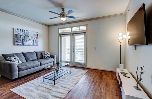 South Main Apartment | Apt W/lake View Near NRG Free Parking Pet Ok
