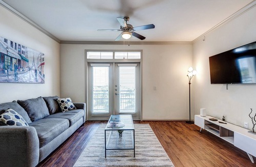South Main Apartment | Apt W/lake View Near NRG Free Parking Pet Ok