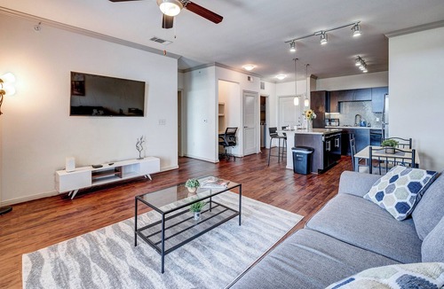 South Main Apartment | Apt W/lake View Near NRG Free Parking Pet Ok