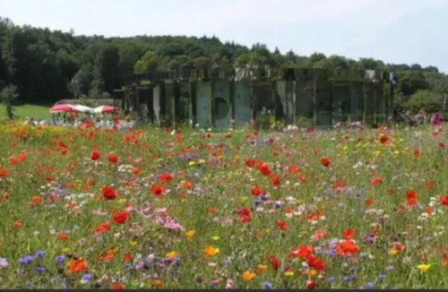 Redhill Apartment | Apt1 Belfry Quarters, Redhill