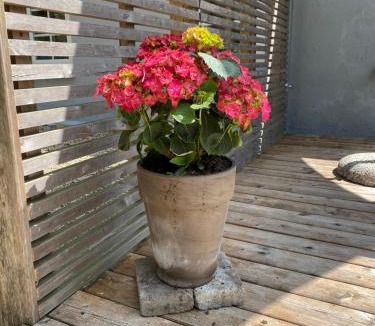 Billund Apartment | Apt17 - Quiet Countryside Apartement - only minutes from Billund