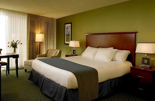 Laughlin Hotel | Aquarius Casino Resort Laughlin | Luxury Room | Gaming & Riverwalk