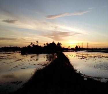 Kampung Hutan Chelong House | Arau Pulau Hilir Home