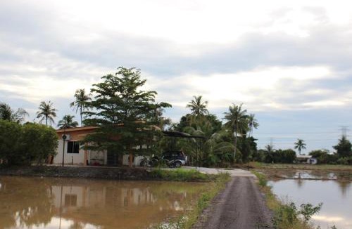 Kampung Hutan Chelong House | Arau Pulau Hilir Home