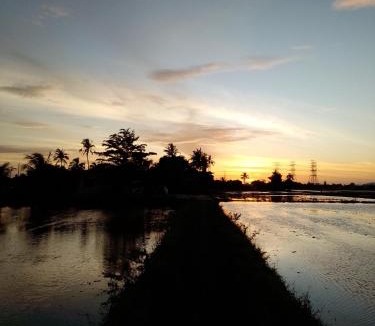 Kampung Hutan Chelong House | Arau Pulau Hilir Home