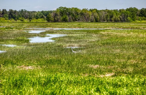 Scarborough House | Arbor Lane Delight