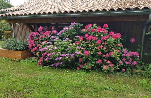 Taussat Villa | Arcachonnaise villa