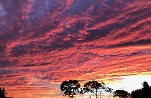 Longlands Bed & Breakfast | Arcadia