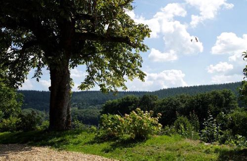 Sussac House | ArcenFrance