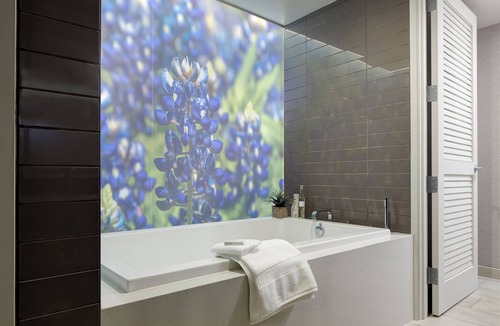 North Burnet Hotel | Archer Hotel Austin at the Domain