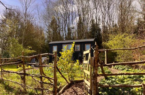 Penrith Ski Chalet | Archie the shepherd’s hut