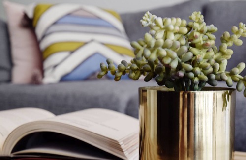 Abbotsford Villa | Architect designed 3 bedrm, 2 bathrm, BBQ & garden