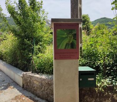 Gagnieres House | Ardèche Mas de la châtaigneraie gîtes près de vallon pont d arc
