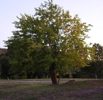 Montreal House | Ardeche - Gites Objectif Evasion