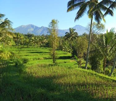 Tetebatu Apartment | are twin bungalows