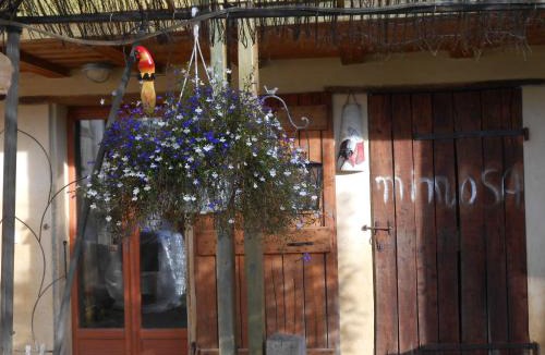 Demu House | Arie Chez Mimosa