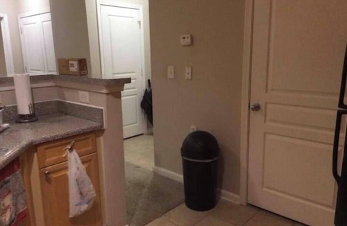 Duluth Apartment | Ark Place.