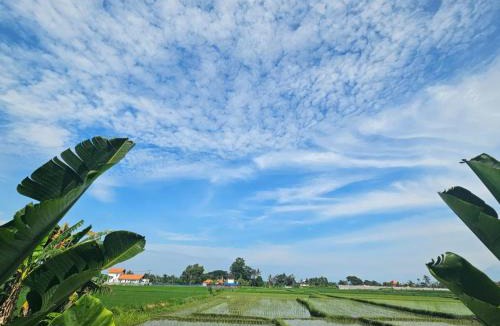Nyambu House | Arkana Homestay