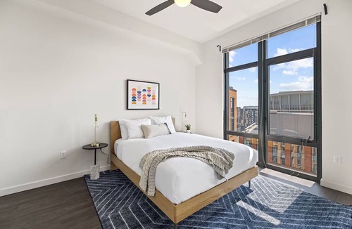 Bluemont Hotel | Arlington Pet-Friendly Stay | Rooftop Deck Access | Walk to Parks & Dining