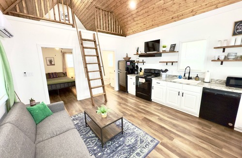 Albertville House | Armadillo Cabin with arcade, inflatables and more!